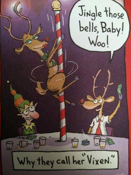 Happy Christmas. #jinglebellrock #cornwall #jokes #christmas #parody #, what is a dingleberry fruit