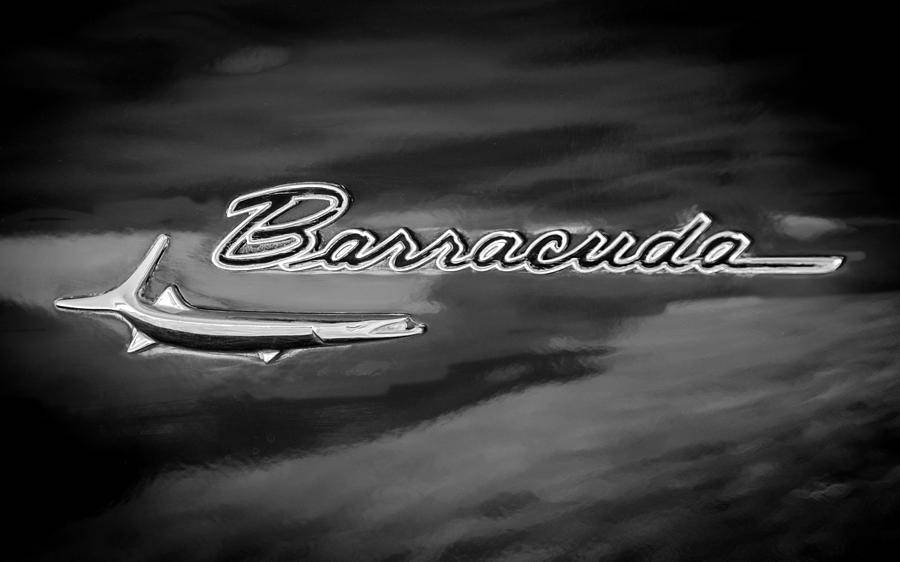 1-1967-plymouth-barracuda-emblem-jill-reger.jpg