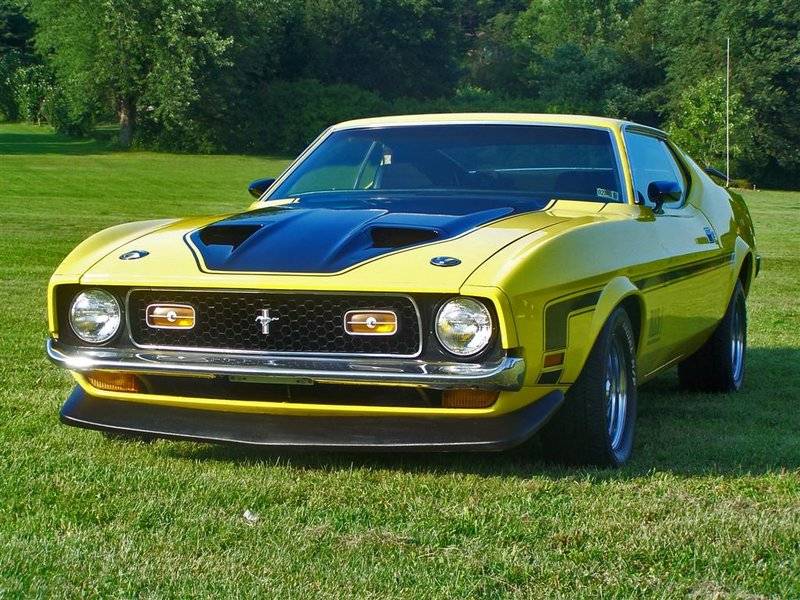 1971-ford-mustang-mach-1-side-front-view.jpg