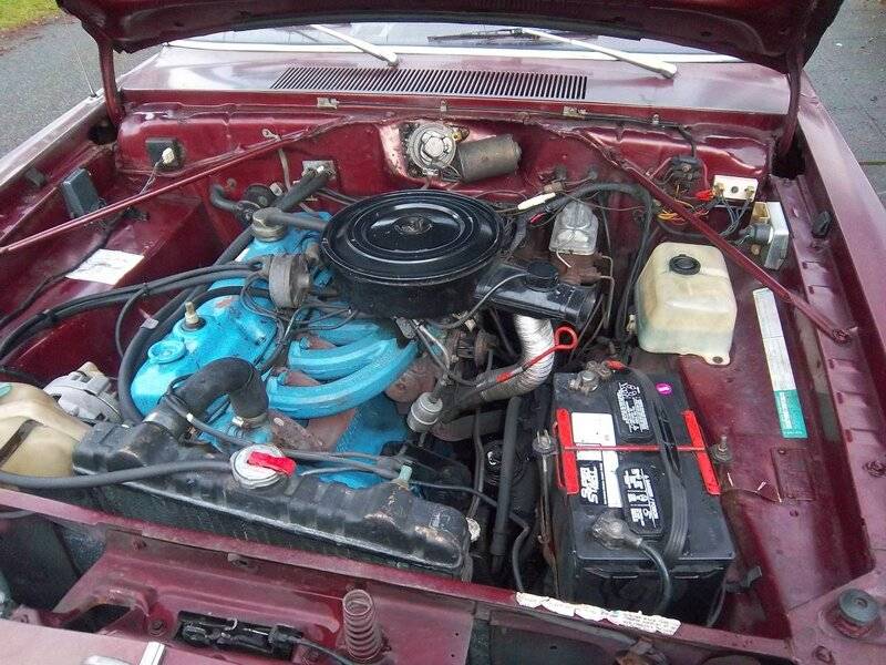 75 Dart Under Hood Braces.jpg