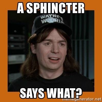 a-sphincter-says-what.jpg