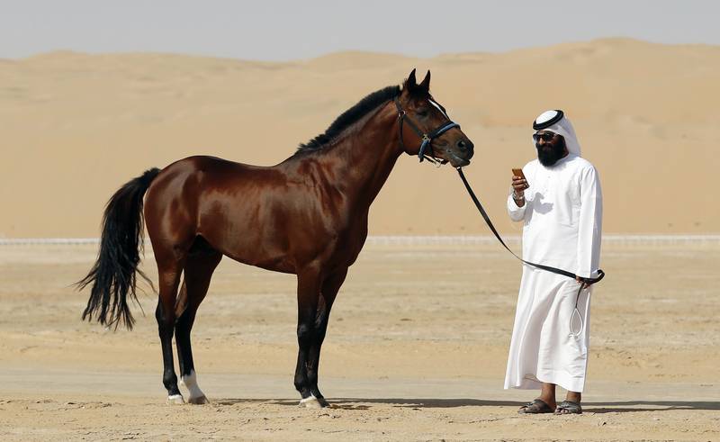 al_on_january_2_2014_in_the_liwa_desert_250_kilometres_west_of_the_gulf_emirate_of_abu_dhabi_afp.jpg