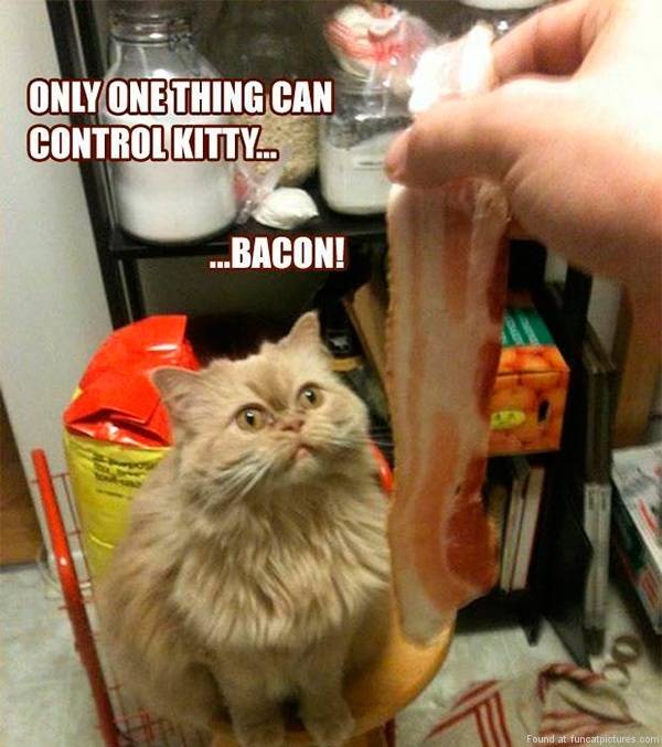 Bacon 02.jpg