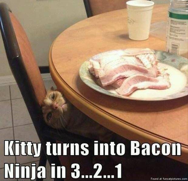 Bacon Ninja.jpg