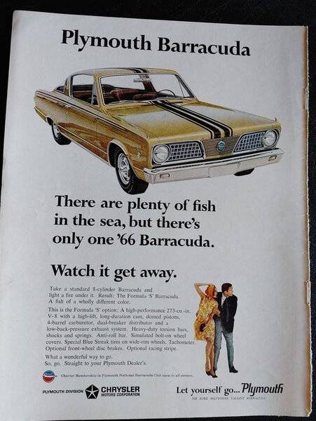 barracuda ad.jpg