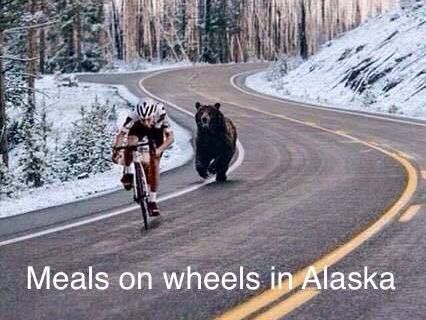 Bear-Chasing-Cyclist__3097cccb85.jpg