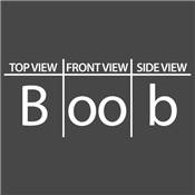 BOOB_VIEW_t.jpg