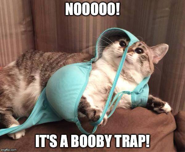 booby%20trap.jpg