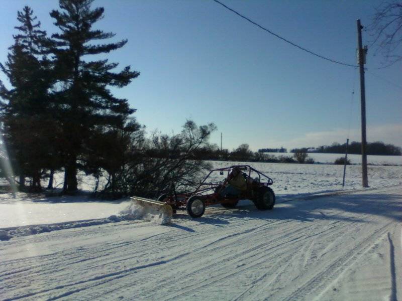 Buggy Plowing.jpg