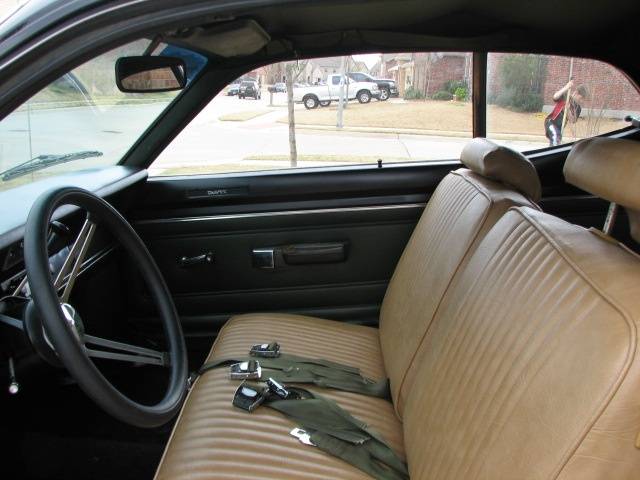 carpet and dash3.jpg