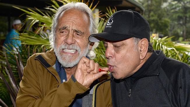 cheech-marin-tommy-chong.jpg