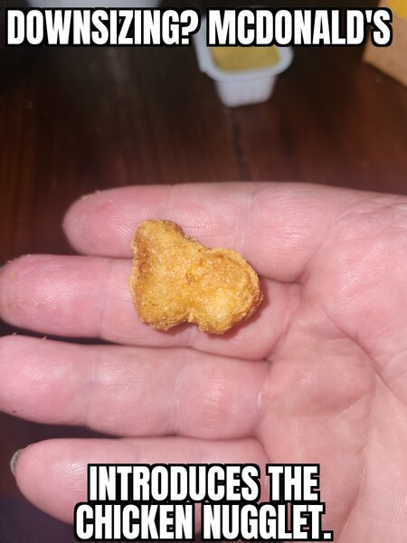 chicken Nugglet .jpg