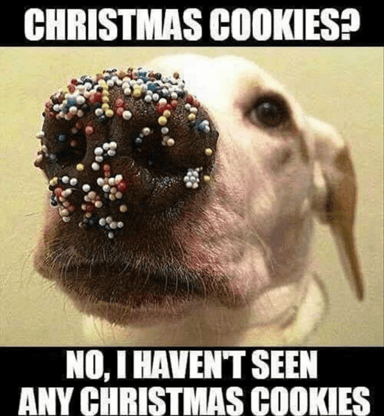 Christmas Cookies.png