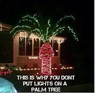 Christmas Palm Tree Lights.jpg