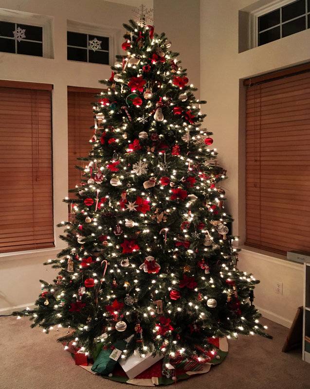 Christmas tree 2016.jpg