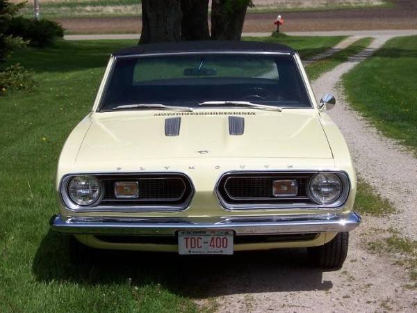 cuda2(600 x 450).jpg