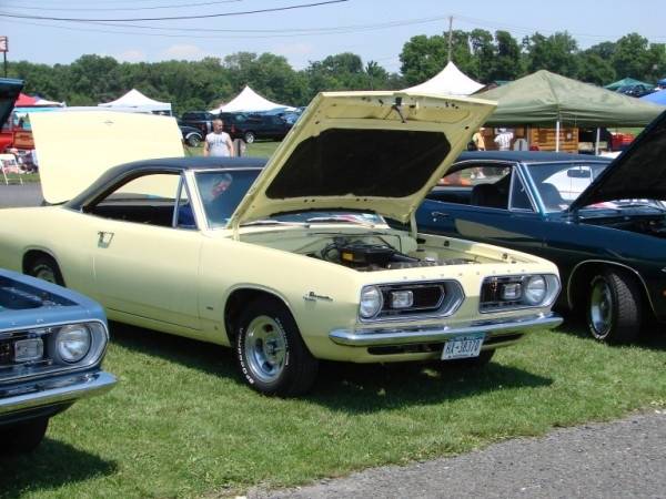 cuda4 (600 x 450).jpg