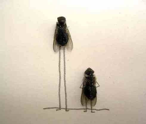 dead_flies_art_14-jpg.jpg