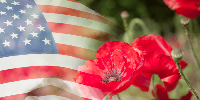 Decorative_Image_US_Flag_Poppies-1100x550.png