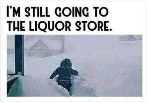 Determined to get to liquor store.jpeg