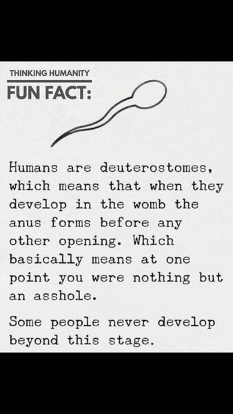 DEUTEROSTOME.jpg