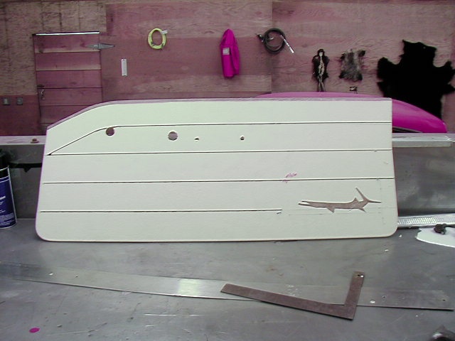 door panel foamed.JPG