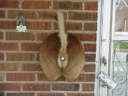 Doorbell.jpg