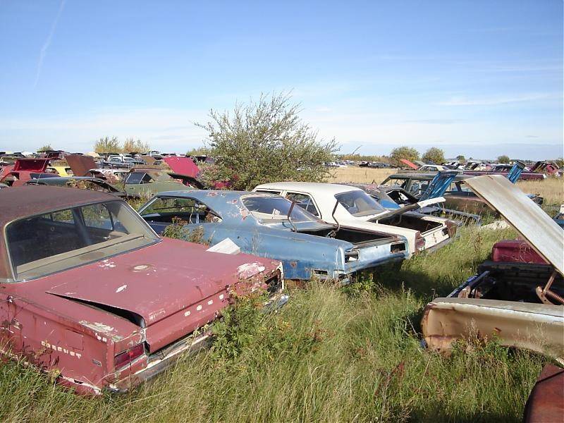 Another Alberta wrecking yard | For A Bodies Only Mopar Forum