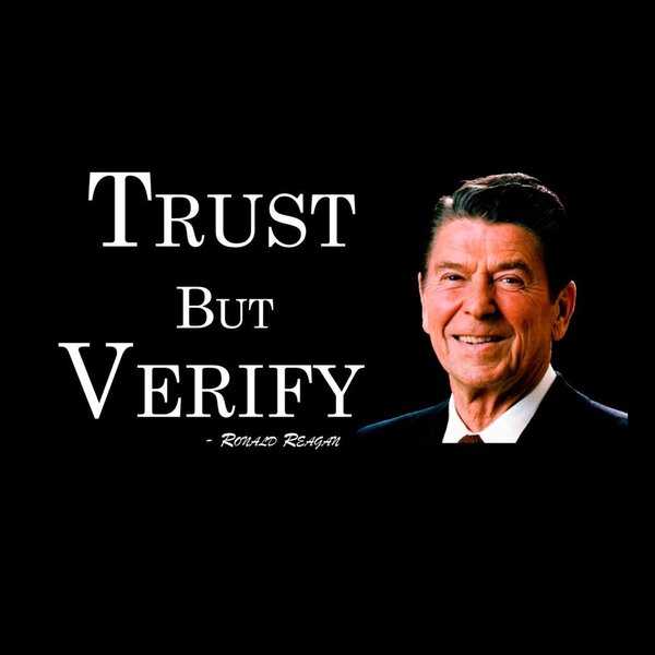 DTF-Trust-but-verify.-dark-1024x1024.jpg