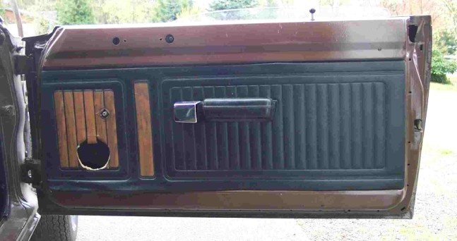 Duster Door (647 x 342).jpg