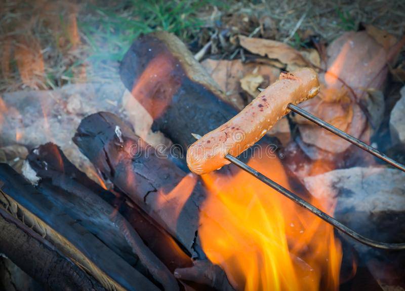 e-roasting-hot-dogs-over-campfire-fun-relaxation-preparing-food-camping-outdoors-relax-134947774.jpg