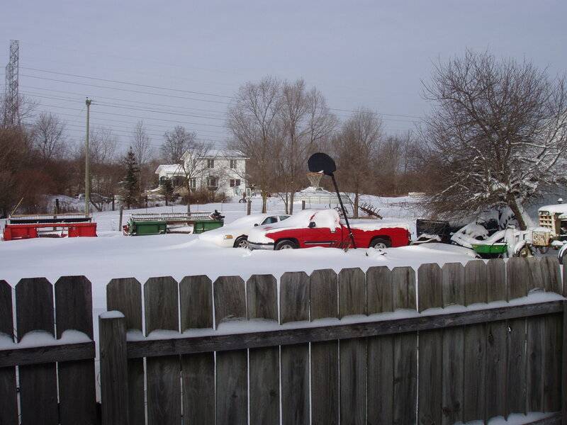 Feb snow 2021 006.JPG