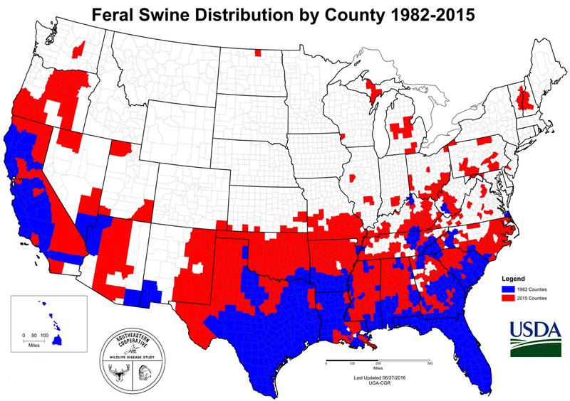 Feral-hog-distribution-2015-qdma.jpg