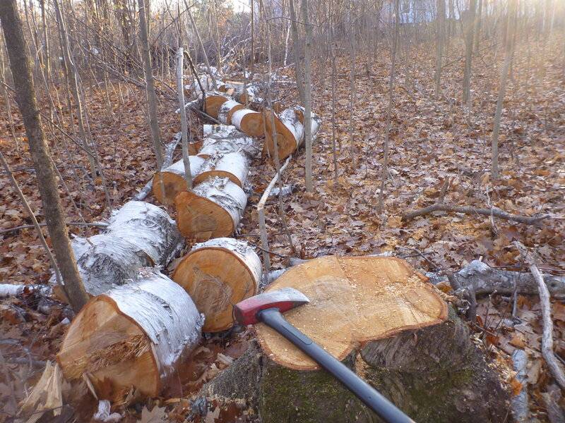 firewood2015 026.JPG