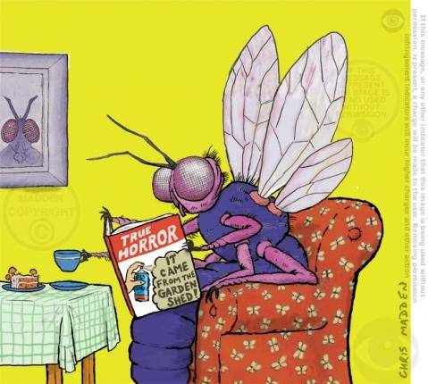 fly-in-armchair-true-horror-cartoon-chris-madden-jpg.jpg