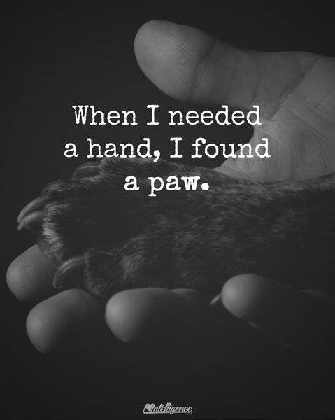 found a paw.jpg