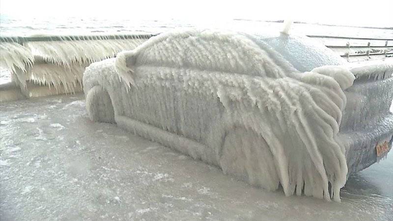 Frozen Buffalo.jpg