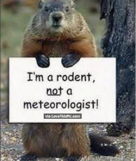 funny-groundhog-day-memes-15-1549036388412-1549036391272.jpg