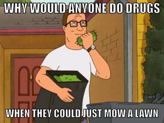 funny-Hank-King-Hill-grass-quote.jpg