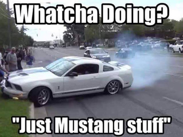 Funny-Mustang-Meme-3.jpg