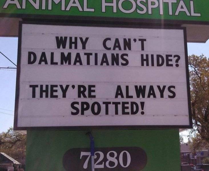 funny-vet-signs-16.jpg