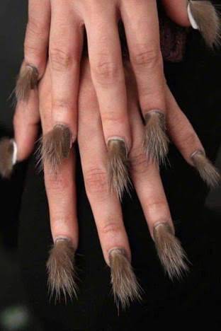 furry fingernails.jpg