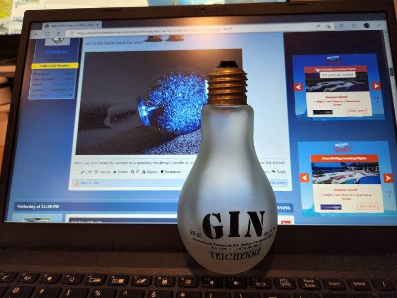 GIN bottle lightbulb.jpg