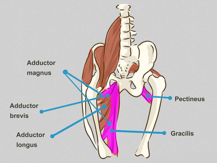 Groin injury.jpg