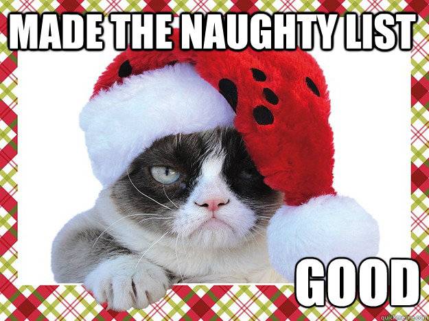 Grumpy-christmas8.jpg