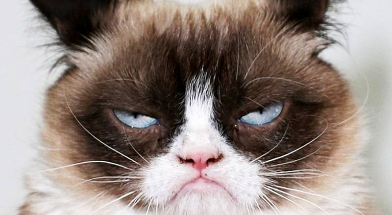 grumpy_cat_ppcore.jpg