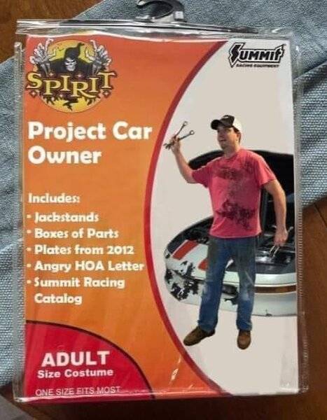 Halloween car owner costume..jpg