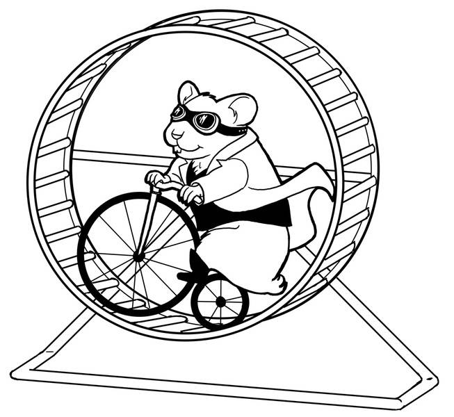 hamsterwheel.jpg