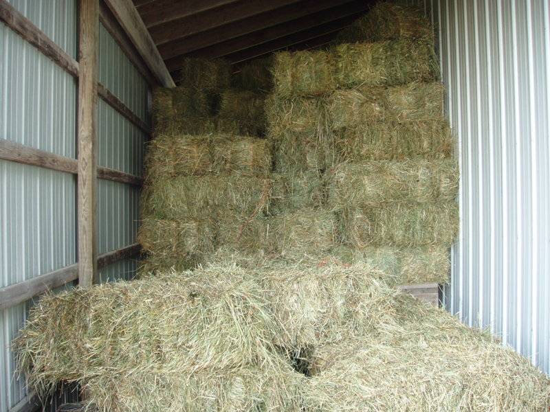 hay2 001.JPG