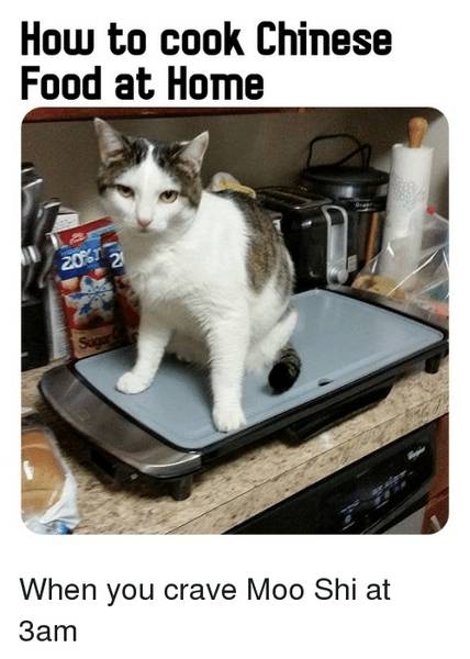 how-to-cook-chinese-food-at-home-cats-meme-on-me.jpg